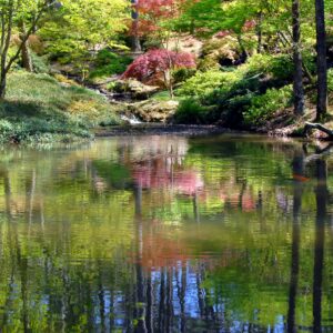 hypnotherapy for anxiety